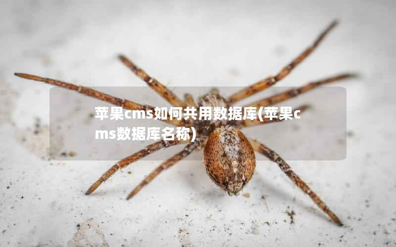 苹果cms如何共用数据库(苹果cms数据库名称)