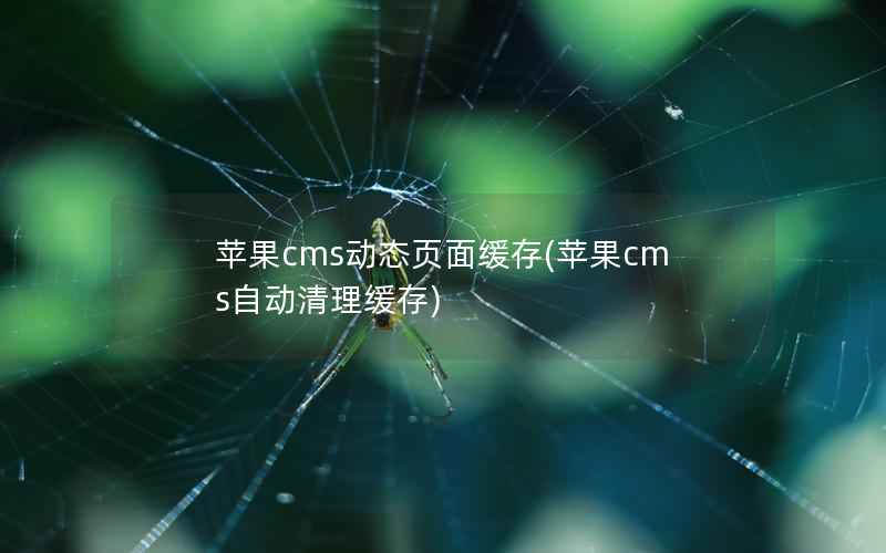 苹果cms动态页面缓存(苹果cms自动清理缓存)