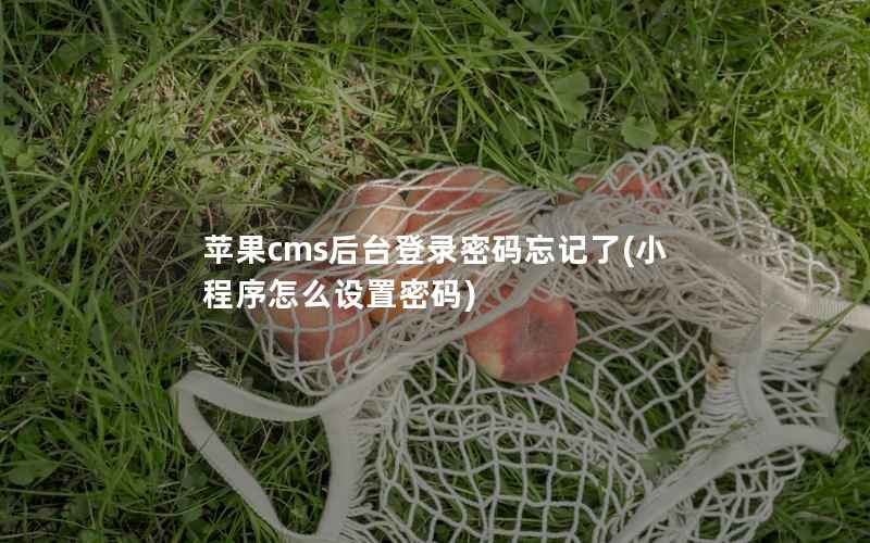 苹果cms后台登录密码忘记了(小程序怎么设置密码)