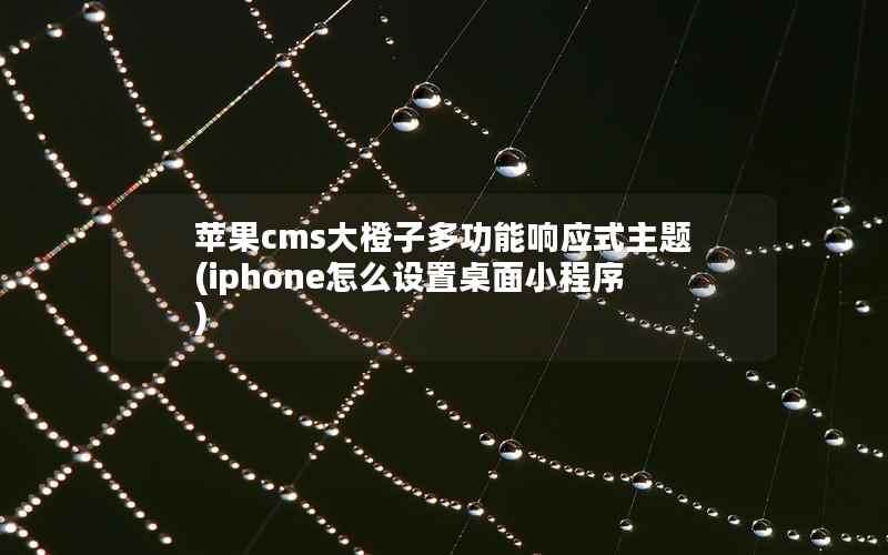 苹果cms大橙子多功能响应式主题(iphone怎么设置桌面小程序)