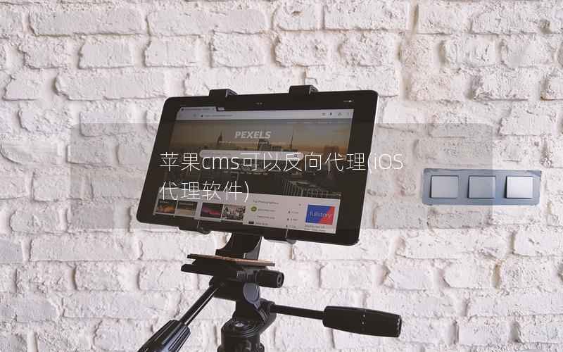 苹果cms可以反向代理(iOS 代理软件)