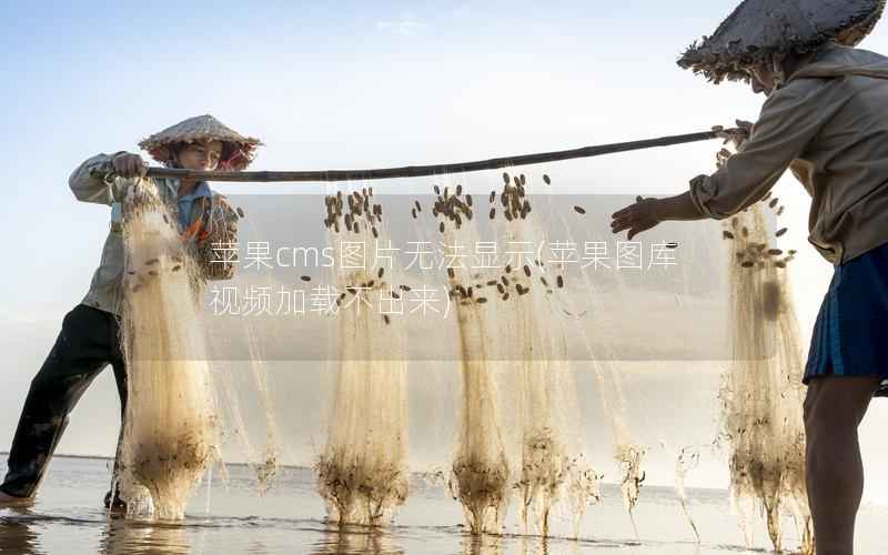 苹果cms图片无法显示(苹果图库视频加载不出来)