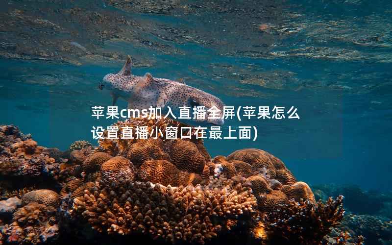 苹果cms加入直播全屏(苹果怎么设置直播小窗口在最上面)