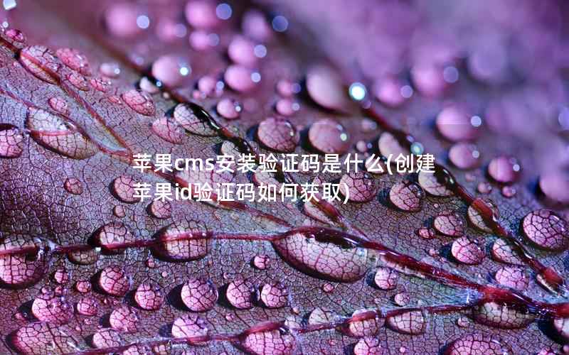 苹果cms安装验证码是什么(创建苹果id验证码如何获取)