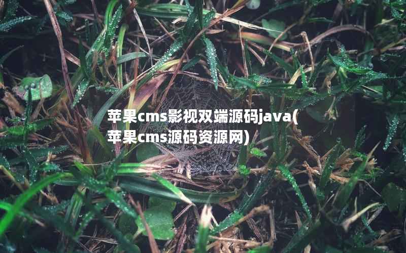 苹果cms影视双端源码java(苹果cms源码资源网)