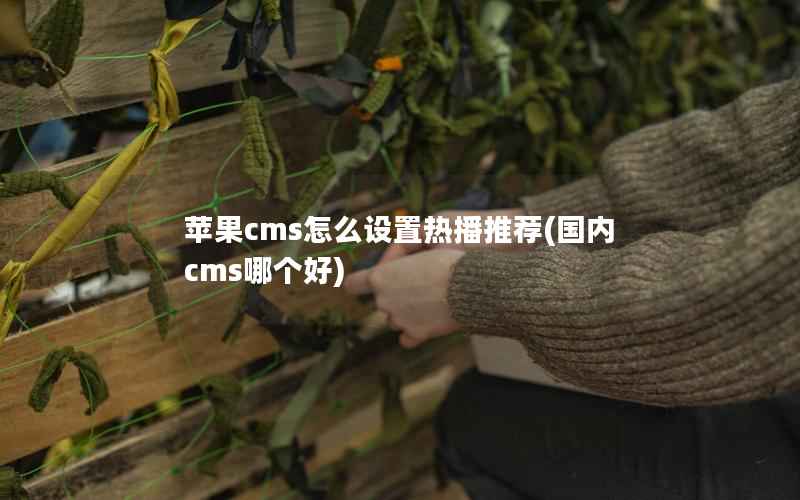 苹果cms怎么设置热播推荐(国内cms哪个好)