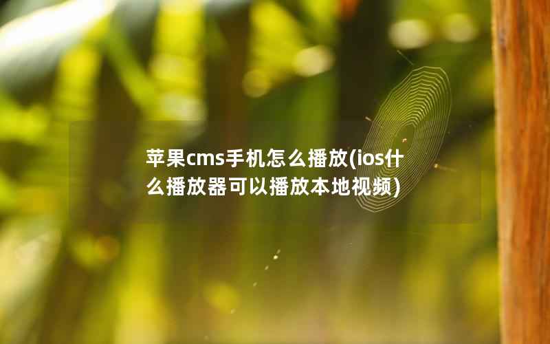 苹果cms手机怎么播放(ios什么播放器可以播放本地视频)