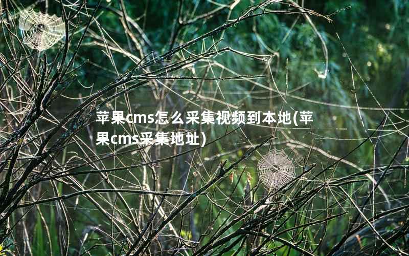 苹果cms怎么采集视频到本地(苹果cms采集地址)