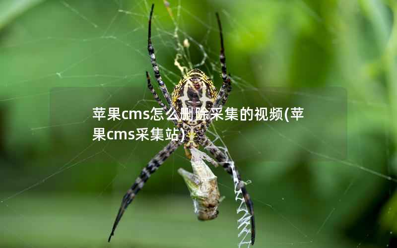 苹果cms怎么删除采集的视频(苹果cms采集站)