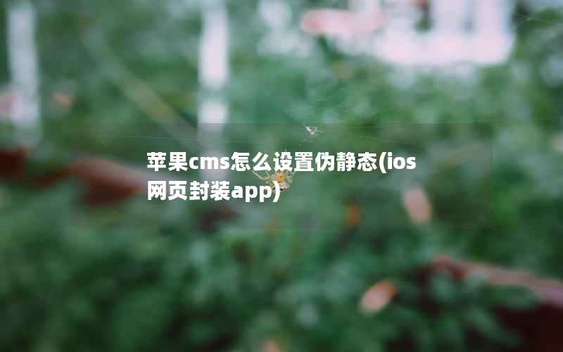 苹果cms怎么设置伪静态(ios 网页封装app)