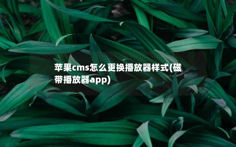 苹果cms怎么更换播放器样式(磁带播放器app)