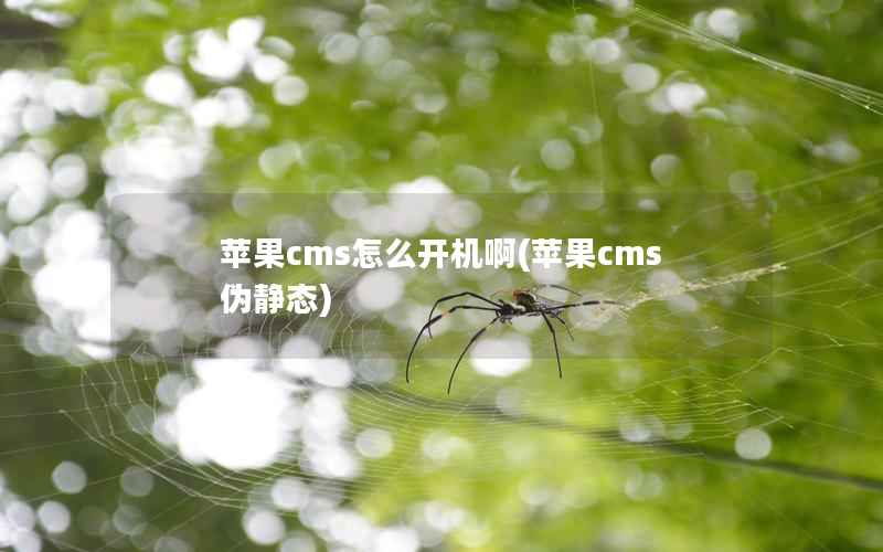 苹果cms怎么开机啊(苹果cms伪静态)