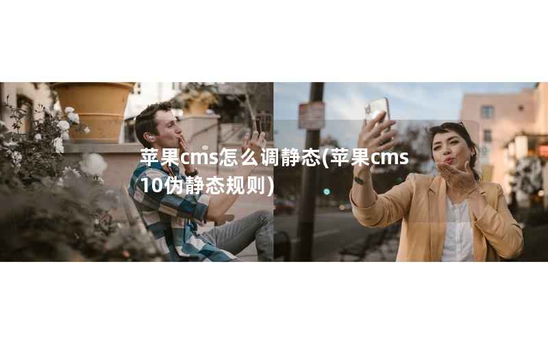 苹果cms怎么调静态(苹果cms10伪静态规则)