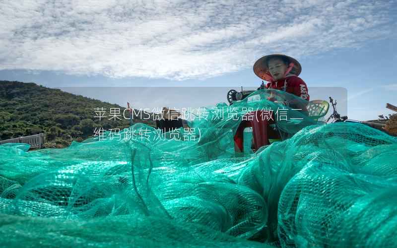 苹果CMS微信跳转浏览器(微信二维码跳转浏览器)