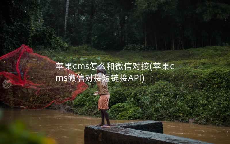 苹果cms怎么和微信对接(苹果cms微信对接短链接API)