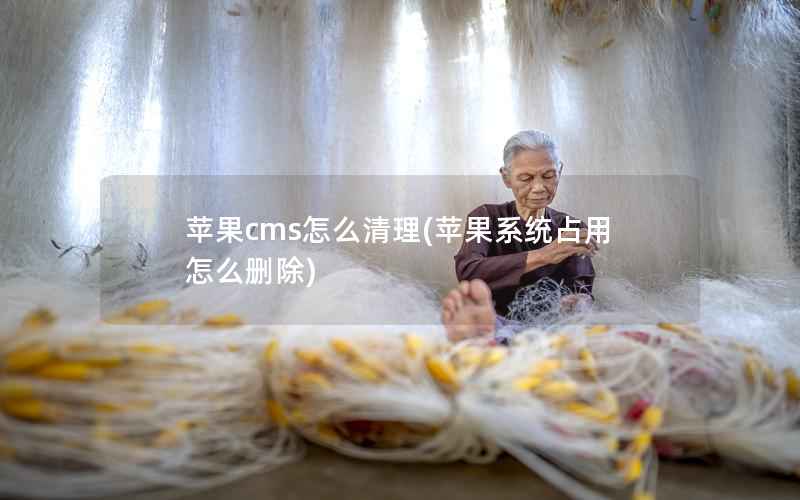 苹果cms怎么清理(苹果系统占用怎么删除)