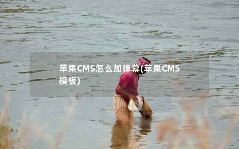 苹果CMS怎么加弹幕(苹果CMS模板)