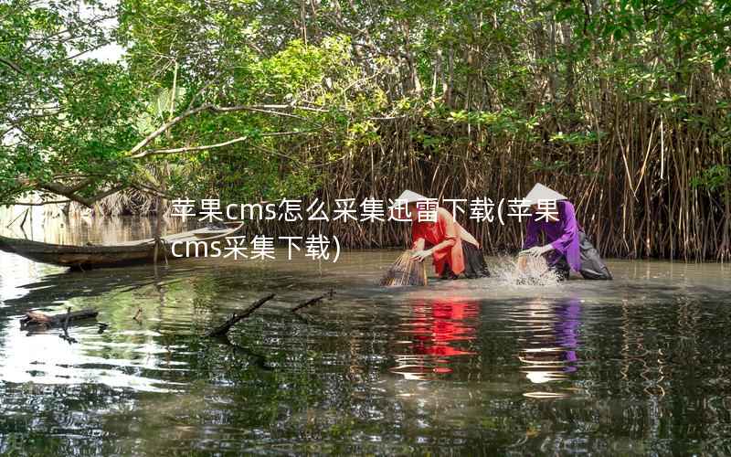 苹果cms怎么采集迅雷下载(苹果cms采集下载)