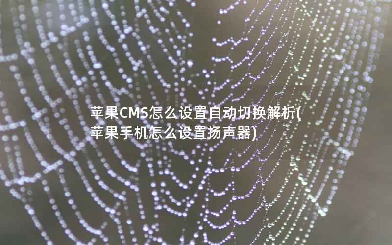 苹果CMS怎么设置自动切换解析(苹果手机怎么设置扬声器)