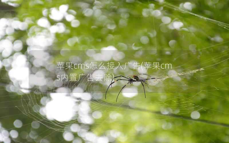 苹果cms怎么接入广告(苹果cms内置广告去除)