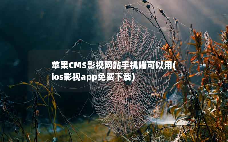 苹果CMS影视网站手机端可以用(ios影视app免费下载)