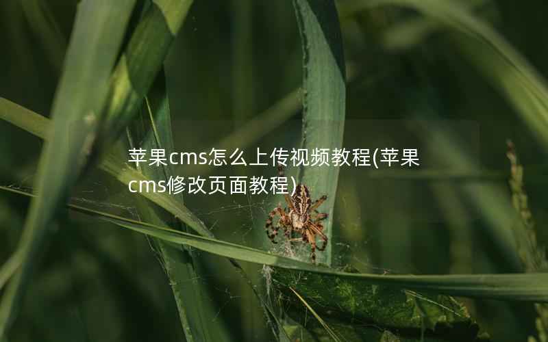 苹果cms怎么上传视频教程(苹果cms修改页面教程)