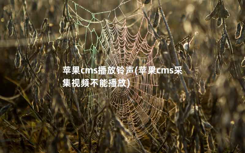 苹果cms播放铃声(苹果cms采集视频不能播放)