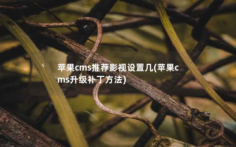 苹果cms推荐影视设置几(苹果cms升级补丁方法)