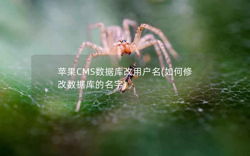 苹果CMS数据库改用户名(如何修改数据库的名字)