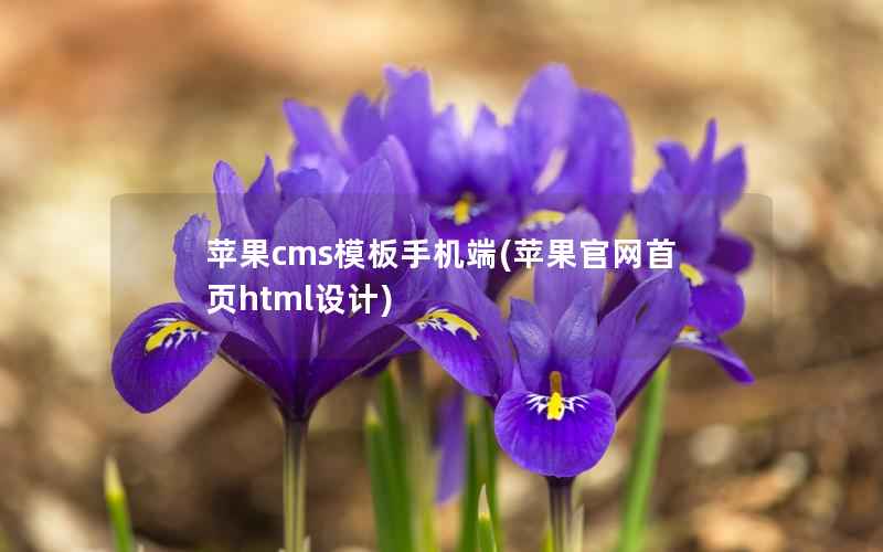 苹果cms模板手机端(苹果官网首页html设计)