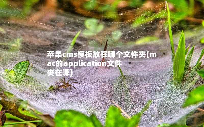 苹果cms模板放在哪个文件夹(mac的application文件夹在哪)