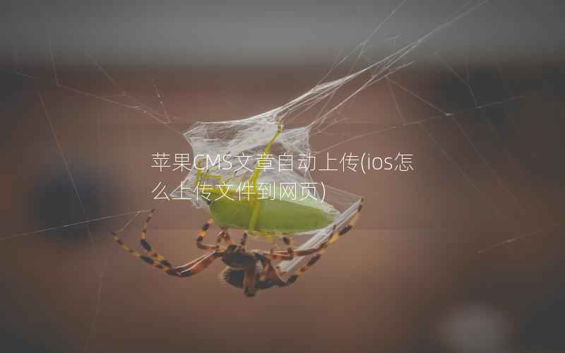 苹果CMS文章自动上传(ios怎么上传文件到网页)