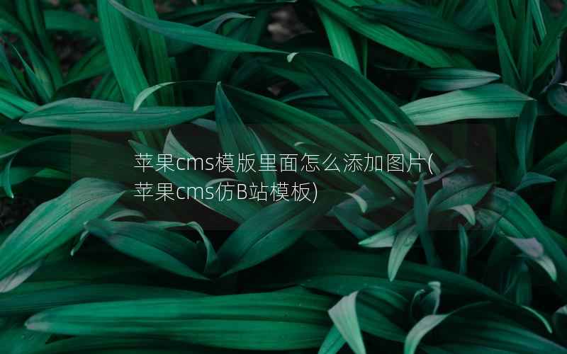 苹果cms模版里面怎么添加图片(苹果cms仿B站模板)