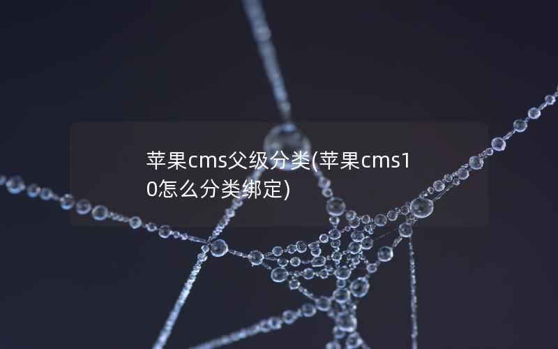 苹果cms父级分类(苹果cms10怎么分类绑定)