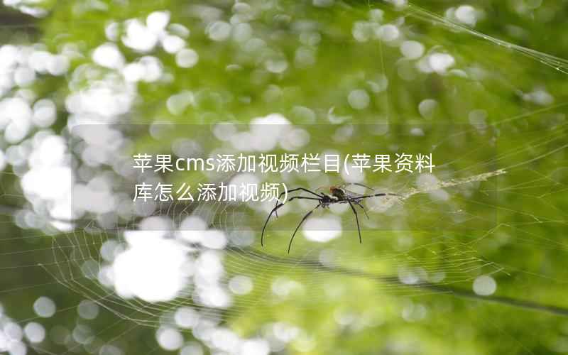 苹果cms添加视频栏目(苹果资料库怎么添加视频)