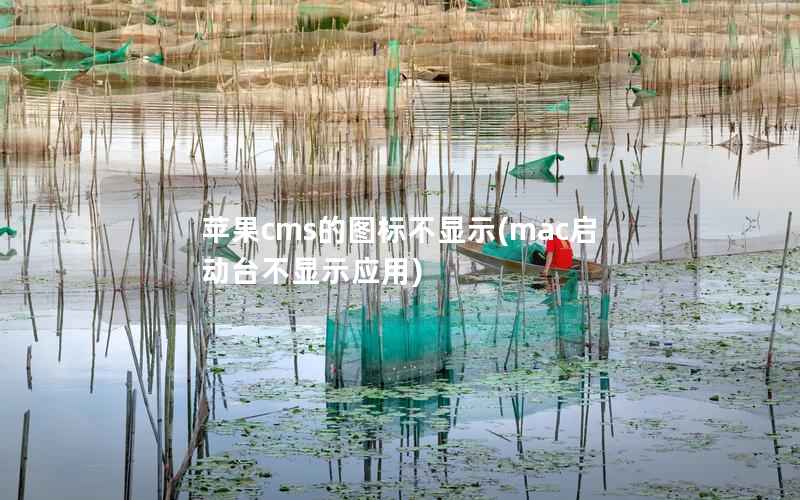 苹果cms的图标不显示(mac启动台不显示应用)