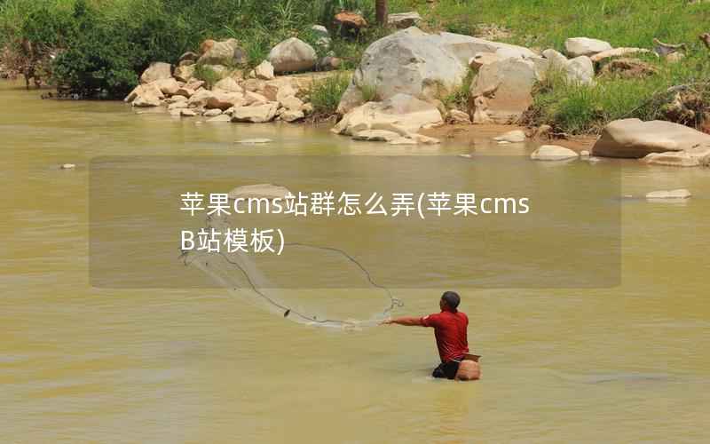 苹果cms站群怎么弄(苹果cmsB站模板)