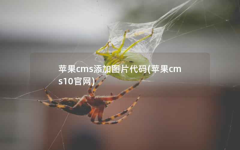 苹果cms添加图片代码(苹果cms10官网)