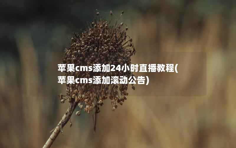 苹果cms添加24小时直播教程(苹果cms添加滚动公告)