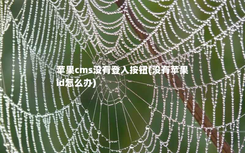 苹果cms没有登入按钮(没有苹果id怎么办)