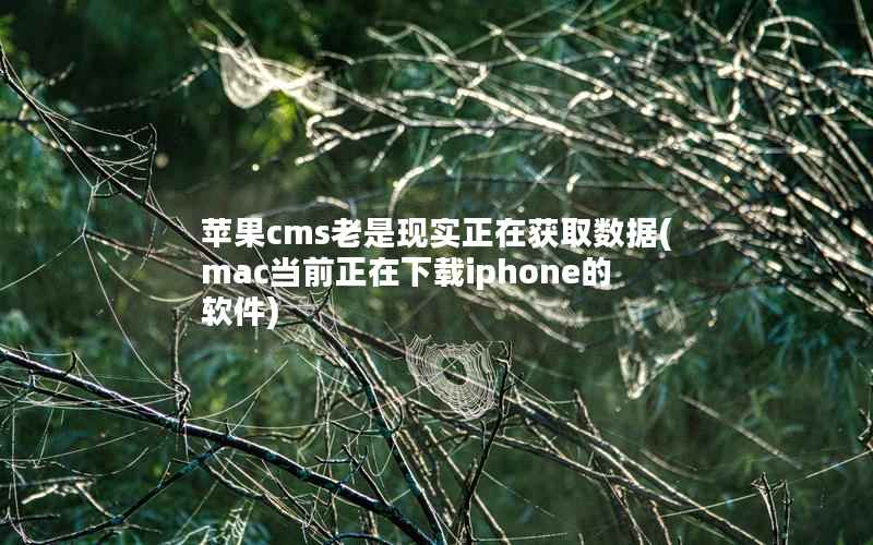 苹果cms老是现实正在获取数据(mac当前正在下载iphone的软件)