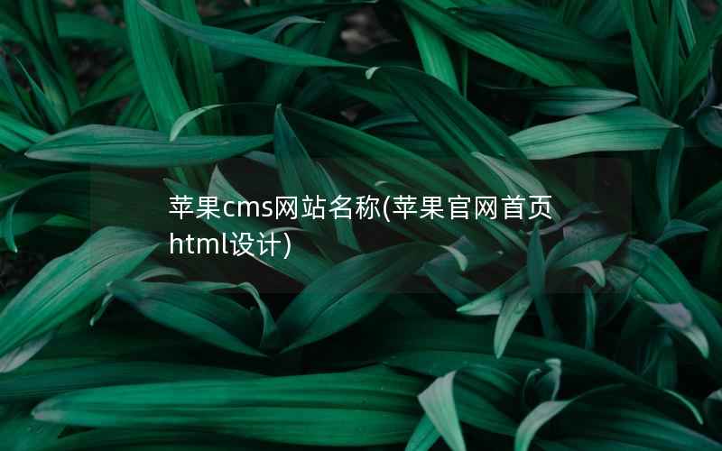 苹果cms网站名称(苹果官网首页html设计)