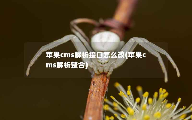 苹果cms解析接口怎么改(苹果cms解析整合)