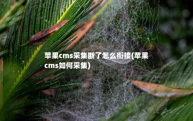 苹果cms采集断了怎么衔接(苹果cms如何采集)