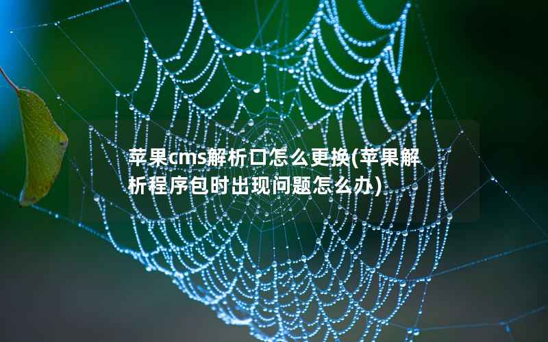 苹果cms解析口怎么更换(苹果解析程序包时出现问题怎么办)