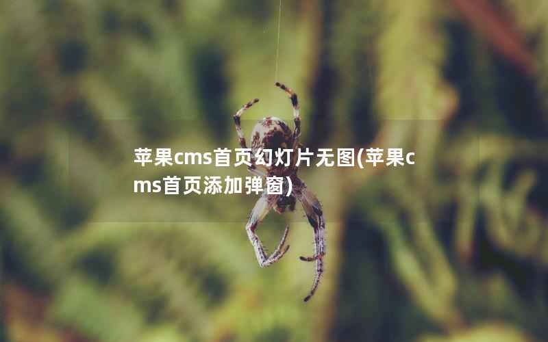 苹果cms首页幻灯片无图(苹果cms首页添加弹窗)