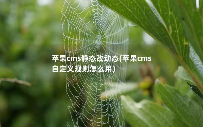 苹果cms静态改动态(苹果cms自定义规则怎么用)