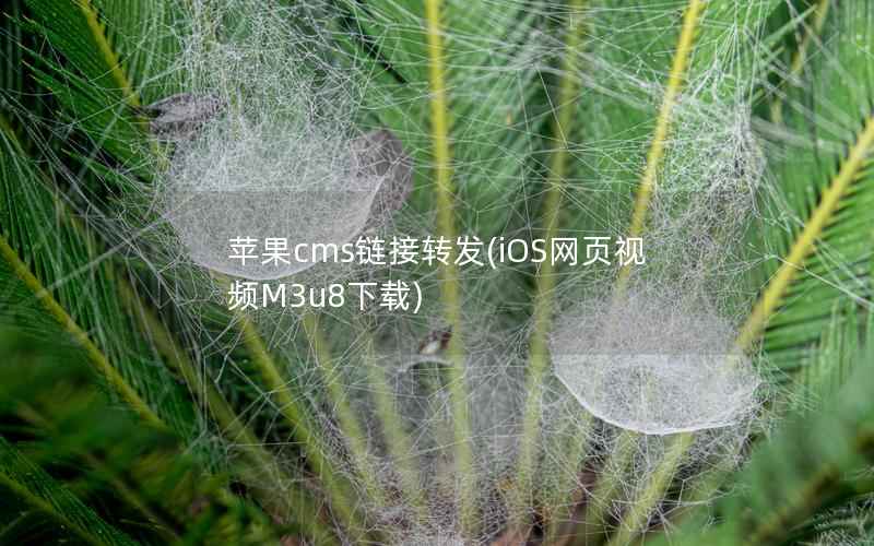 苹果cms链接转发(iOS网页视频M3u8下载)