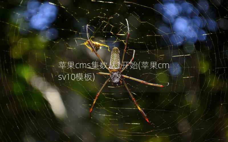 苹果cms集数从1开始(苹果cmsv10模板)