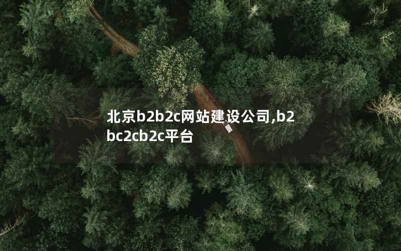 北京b2b2c网站建设公司,b2bc2cb2c平台